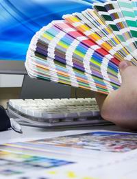 headerimage4.jpg